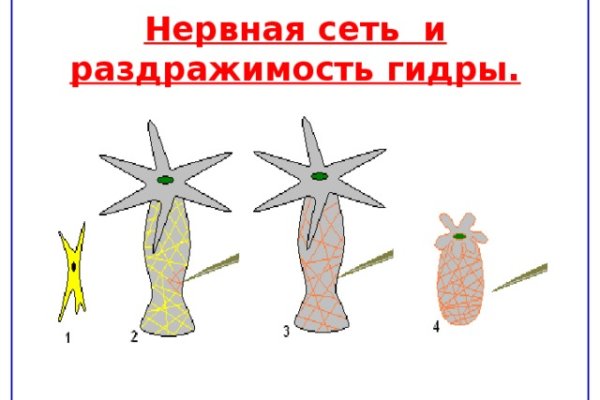 Кракен наркоторговец